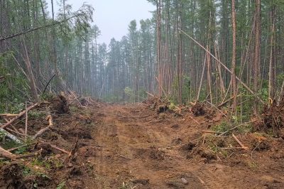 Commercial Property Clearing in Marietta, GA