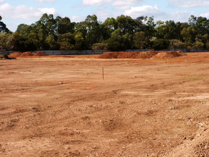 Site Clearing Service in Marietta, GA